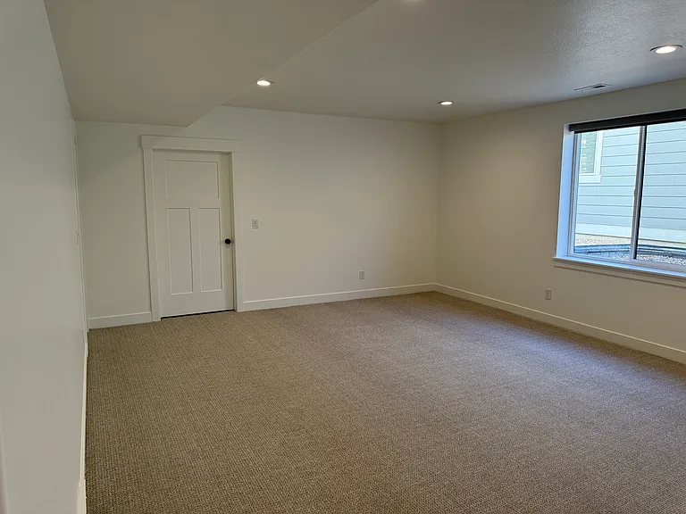 Basement Great Room and door for storage