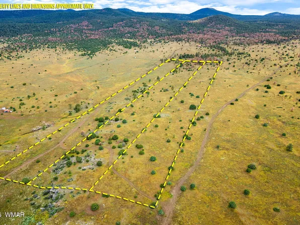 County Road N1334, Greer, AZ 85927