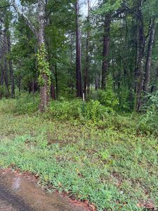 833 County Road 3639, Big Sandy, TX, 75755