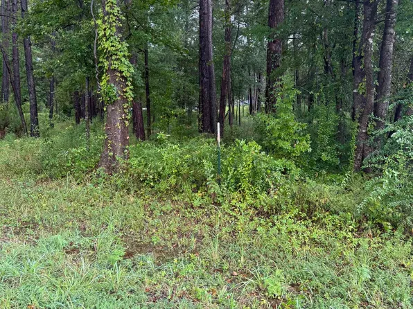 833 County Road 3639, Big Sandy, TX 75755