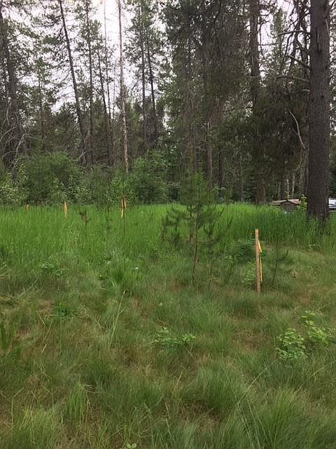 2nd image of 155 Corbett Ln