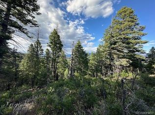 1 Forest Ln, Howard, CO 81233