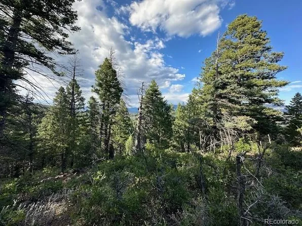 1 Forest Lane, Howard, CO 81233