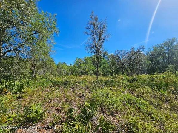 8130 Shellstream Dr, Webster, FL 33597