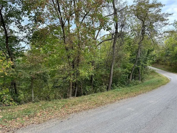 5450 S Leedom Rd, Chandlersville, OH 43727