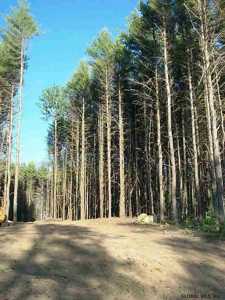 2nd image of Lot #5 Snowshoe Ridge
