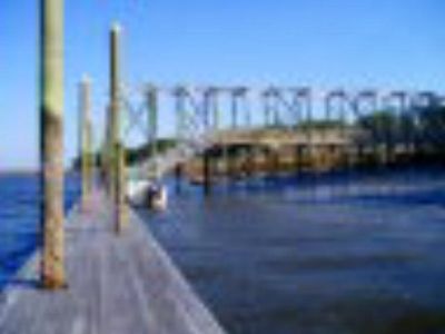 107 Riverpoint Ln, Shellman Bluff, GA, 31331
