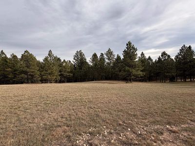 W Argyle Rd, Custer, SD, 57730