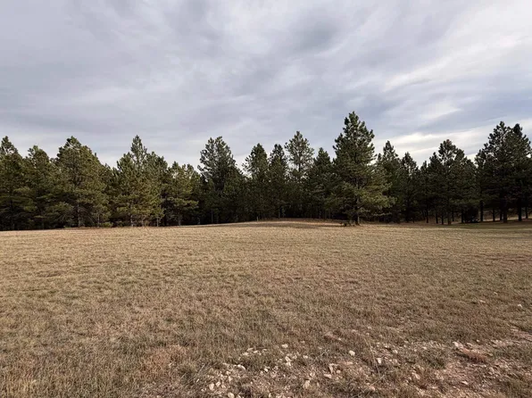 W Argyle Rd, Custer, SD 57730