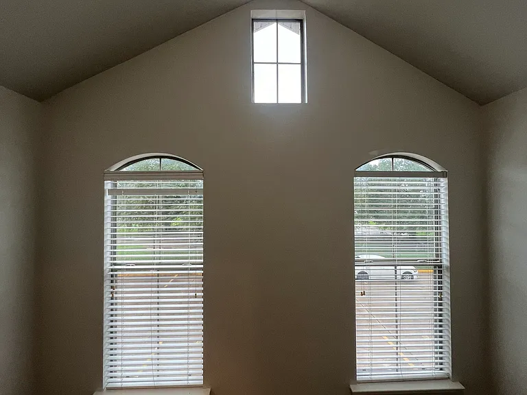 1900 Carrollwood Dr #3 — Photo 46