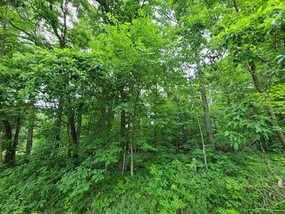 8401 Nine Mile Rd, Big Rapids, MI, 49307
