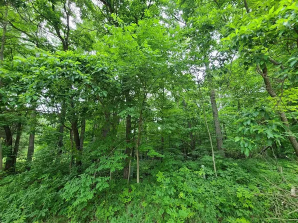 8401 Nine Mile Rd, Big Rapids, MI 49307