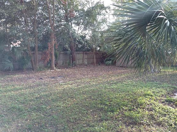 Lana backyard 3 Dec 2016