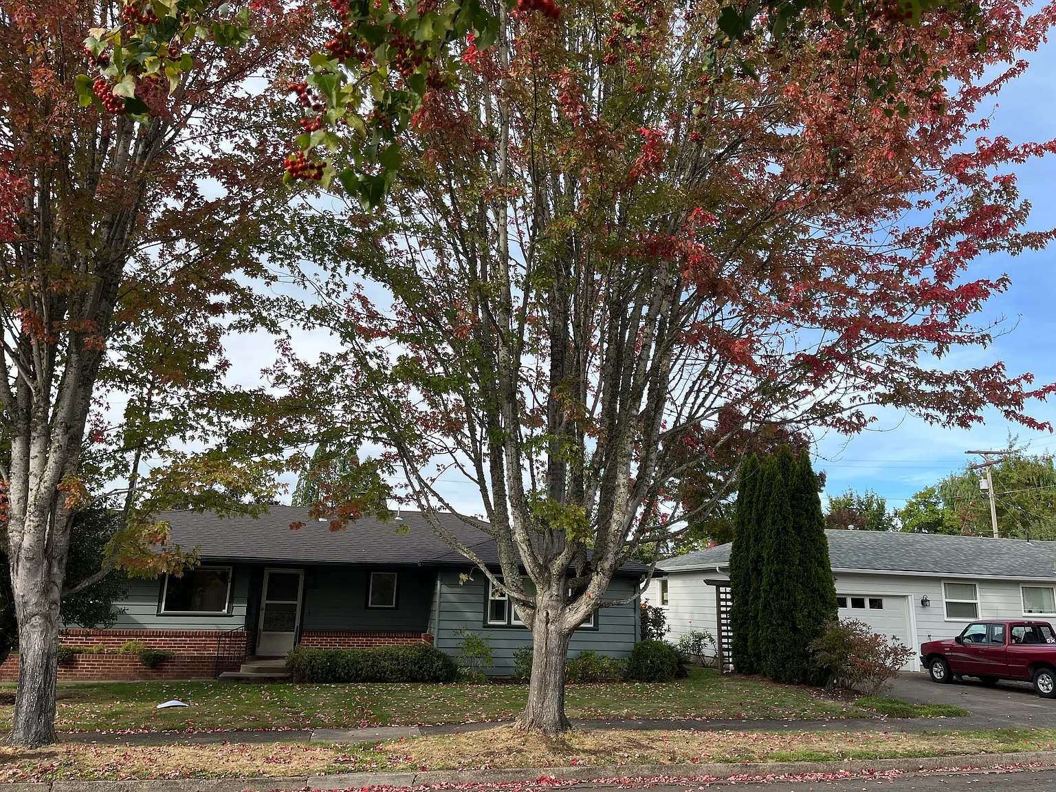 3 bed, 1.5 bath, 1736 sqft, $2,395 — Photo 2