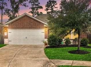 14106 Locke Point Ct, Conroe, TX 77384