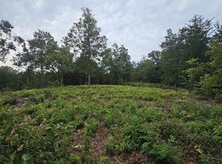 1142 Belue Mill Rd, Landrum, SC 29356