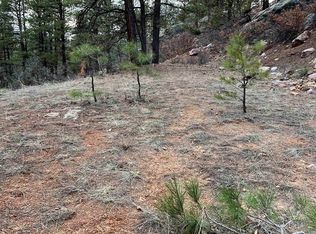 R 56 Private Dr, Chama, NM 87520