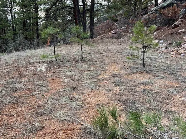 R 56 Private Dr, Chama, NM 87520