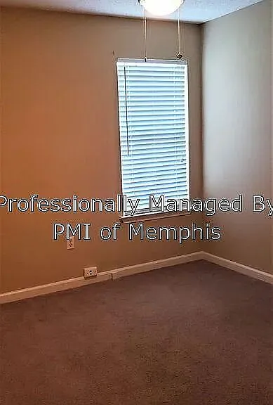 10061 Woodland Pine Cv E — Photo 11