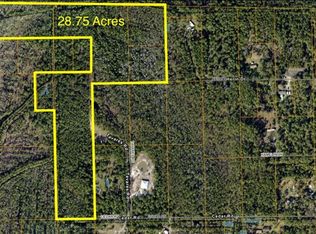 Cedar Rd, New Smyrna Beach, FL 32168