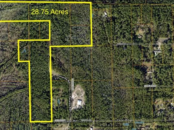 Cedar Rd, New Smyrna Beach, FL 32168