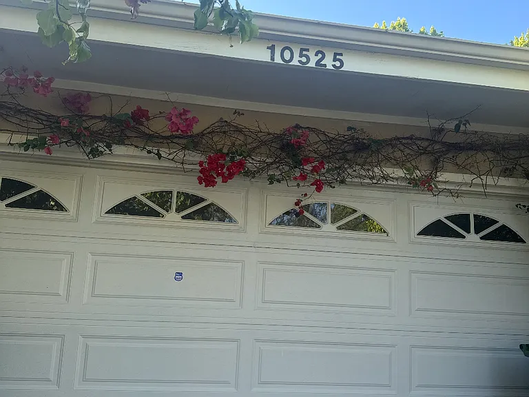 10525 Clearwood Ct — Photo 5