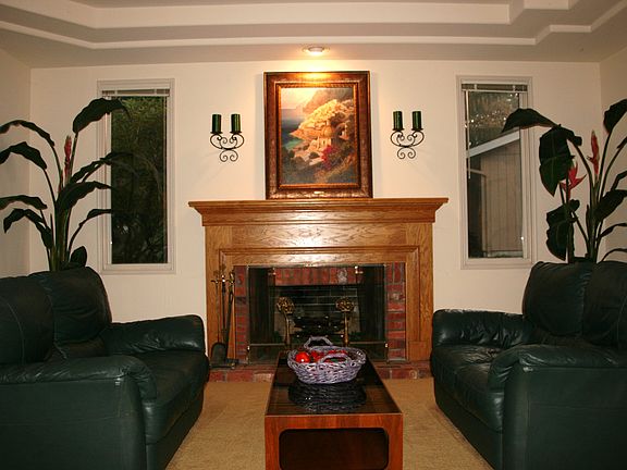 Living Room~wood burning FP
