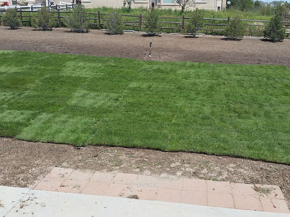 Backyard New Sod - Aug 2015