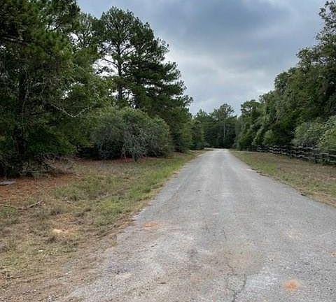 4th image of 604 Pine Canyon Dr