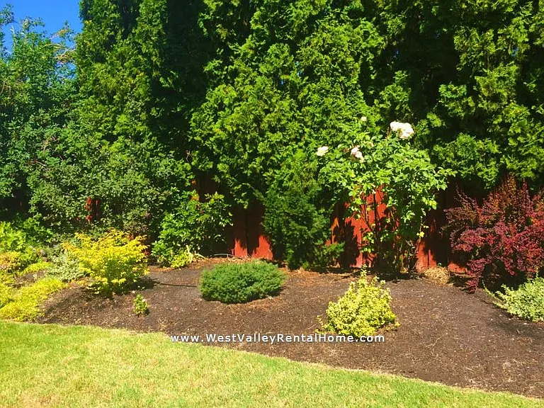 Beautiful large fenced, private backyard.