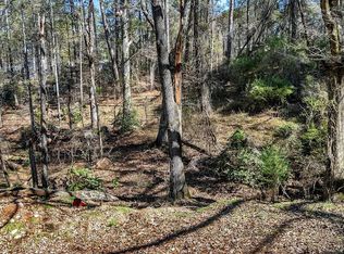 0 Cedar Grove Rd, Townville, SC 29689