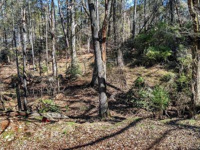 0 Cedar Grove Rd, Townville, SC, 29689