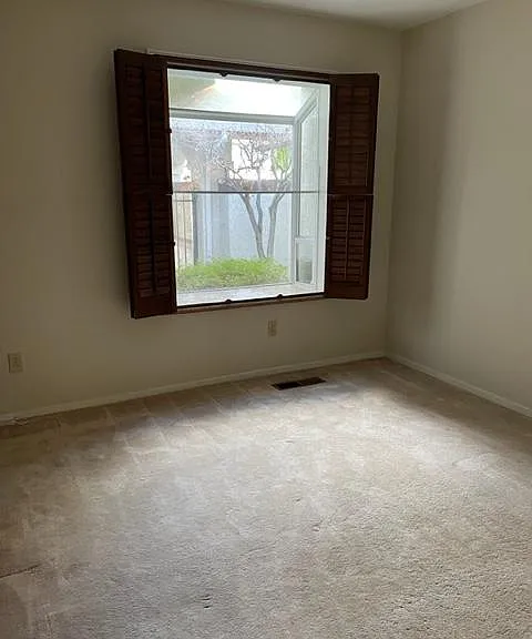 335 Live Oak Dr — Photo 17