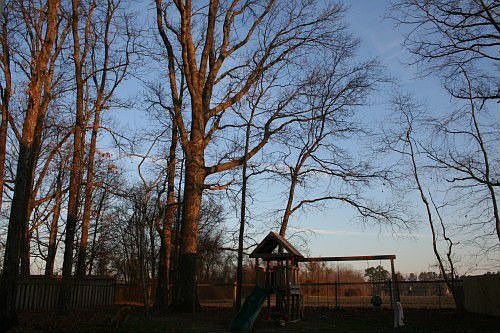 Back yard- 100 acre farm beyond!