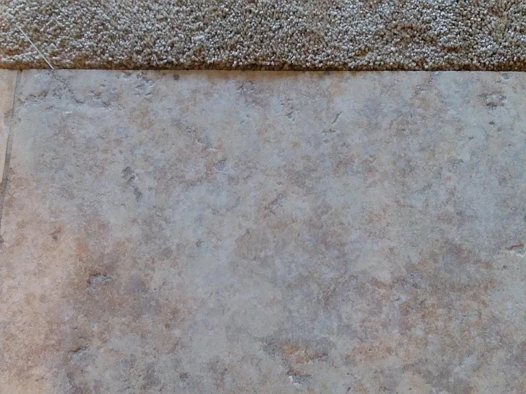 flooring /carpet and tiles