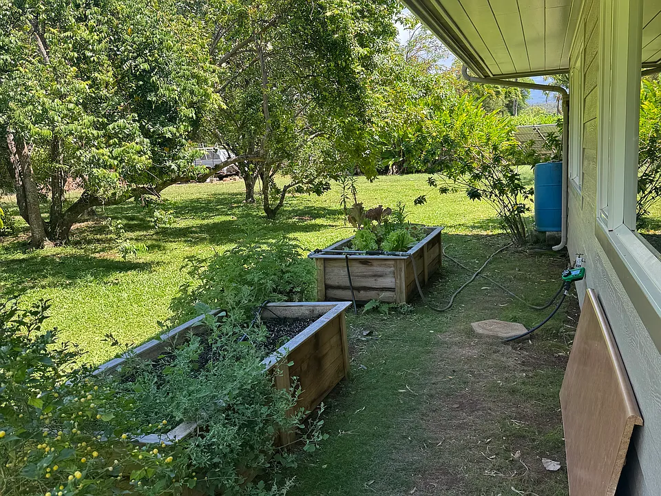 gardening anyone ?