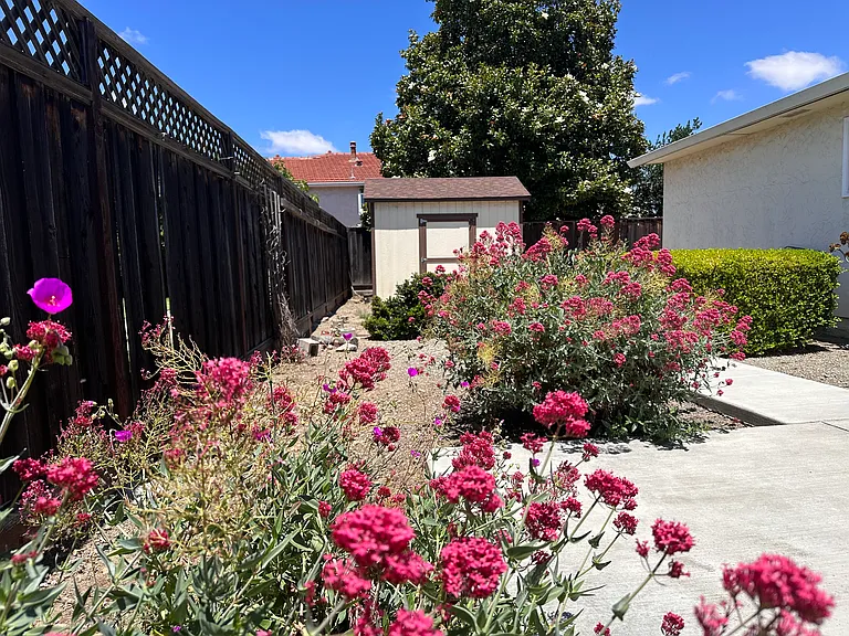2913 Daisy Ct — Photo 23