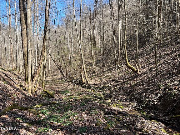 2nd image of Bull Run Rd