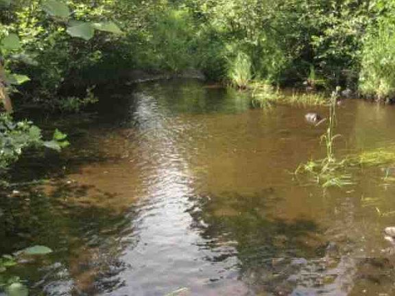 Crossing Weber Creek