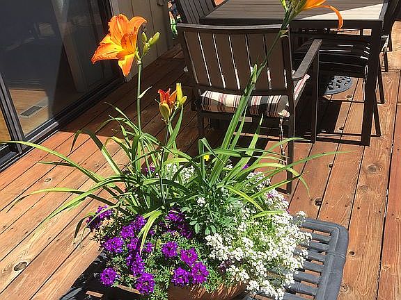 Deck w/ mountain view