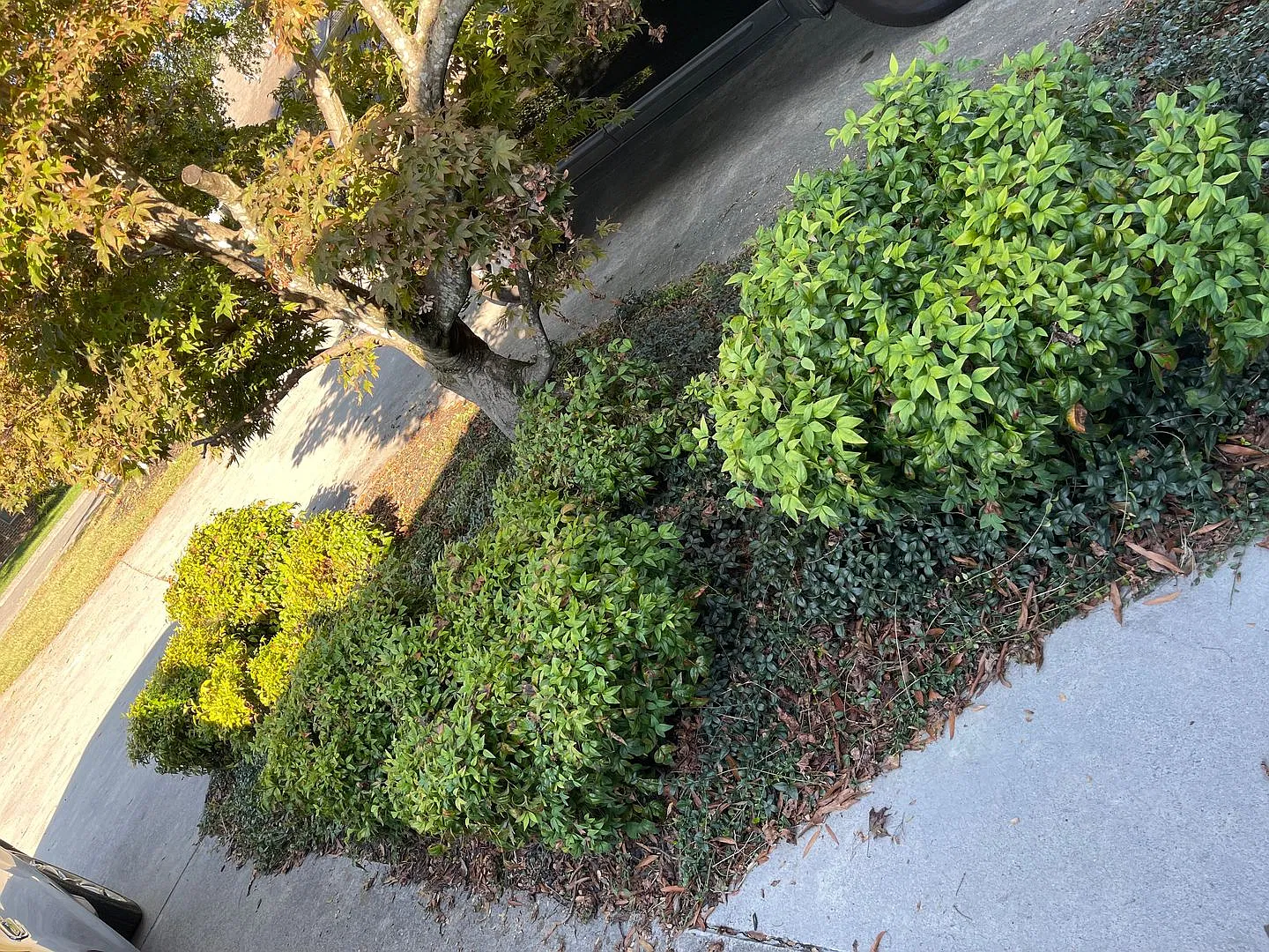 Come View This Beauty! — Photo 3