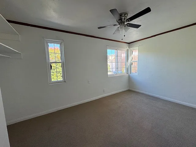 1663 Burton St — Photo 4