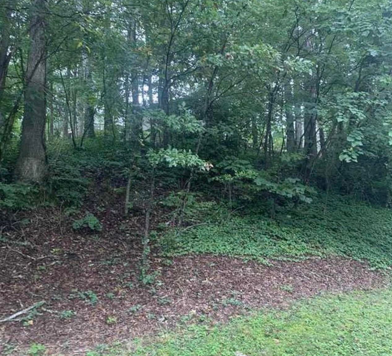 3530 Overton Rd 4, Birmingham, AL 35223 Zillow