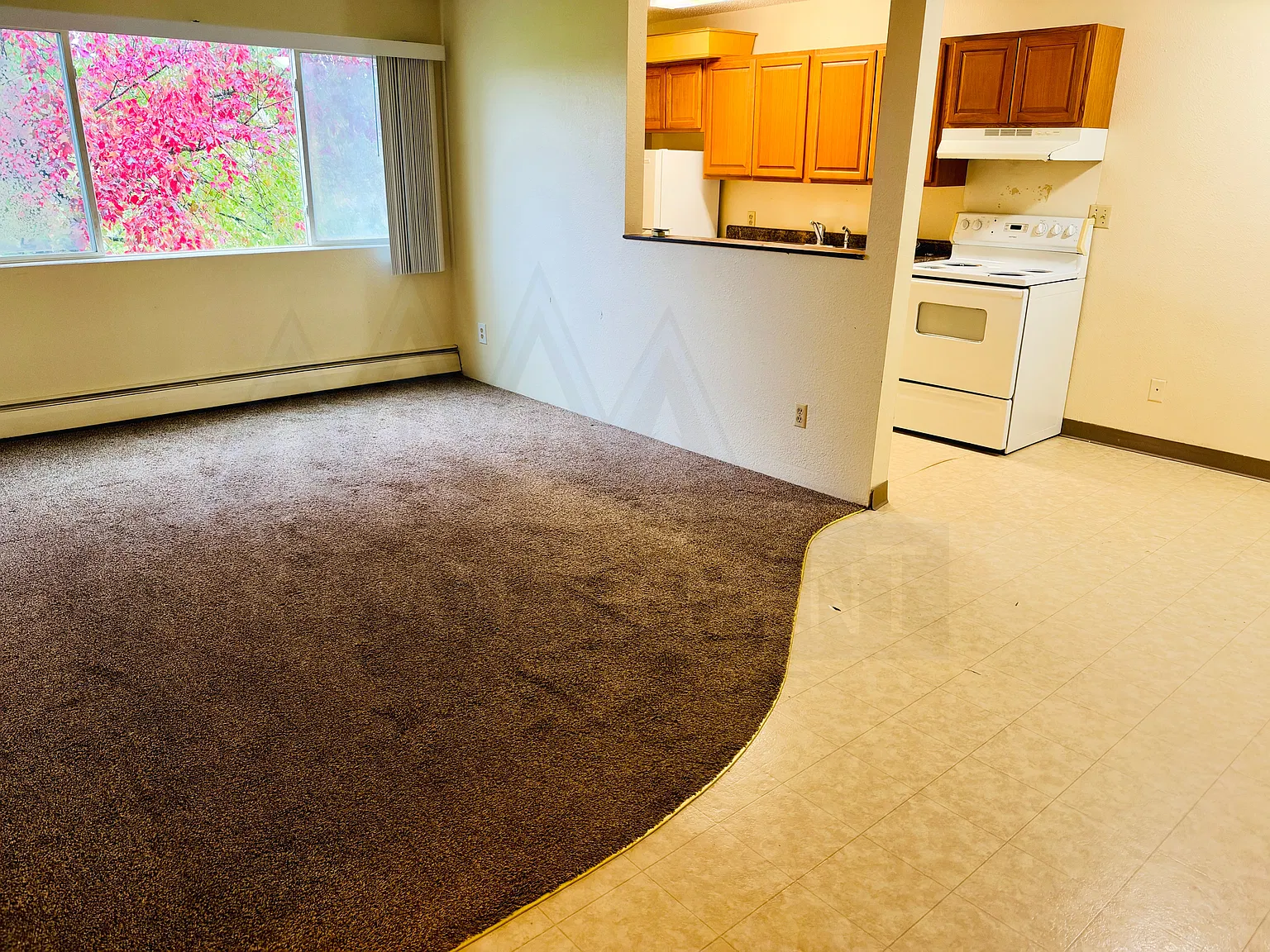 1 bed, $765 — Photo 3