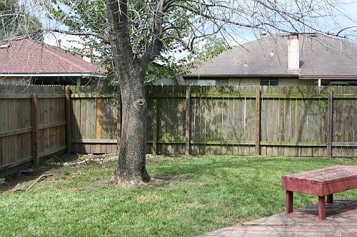 5th image of 1615 Wildgrove Dr