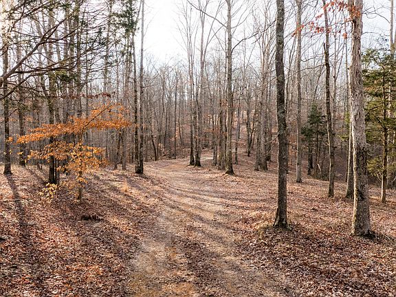 2nd image of 6 Pinewood Rd