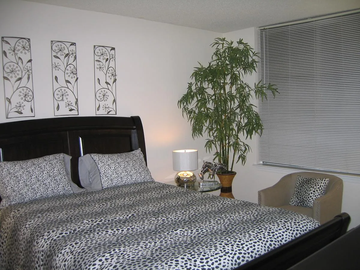 1 bed, 797 sqft, $2,250 — Photo 1