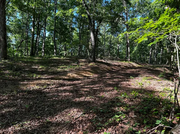 Lakeview Ln #304, Ten Mile, TN 37880