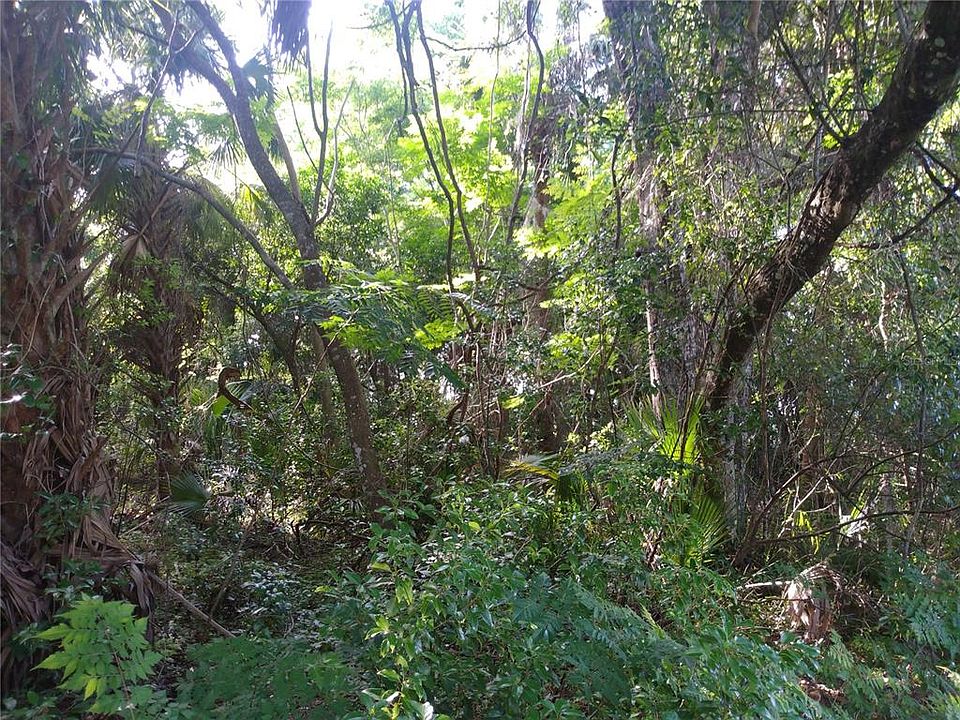 2nd image of (Undisclosed Address)