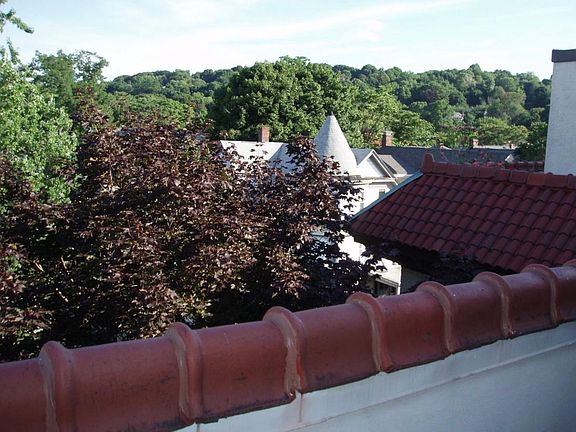 View from deck